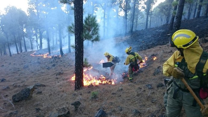 Labores de extinción en el incendio de La Palma