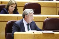 Barreiro (PP) aboga por reformar la ley electoral para que gobierne la lista más votada