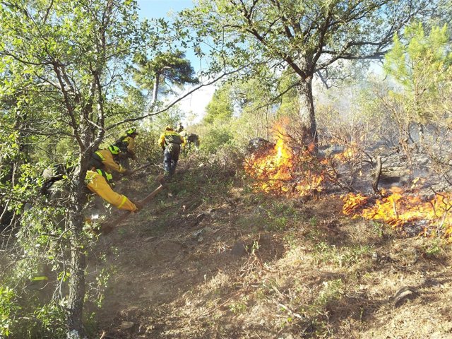 Brigadistas participan en un ataque directo contra el fuego