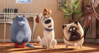 'Mascotas' arrasa con 4 millones de euros y se convierte en el mejor estreno del año en España