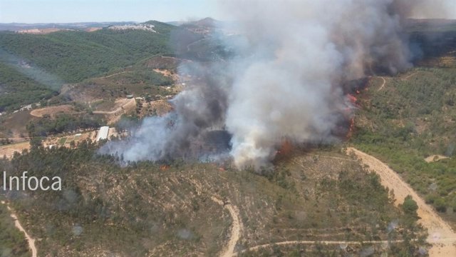 Foto del nuevo incendio declarado en Nerva