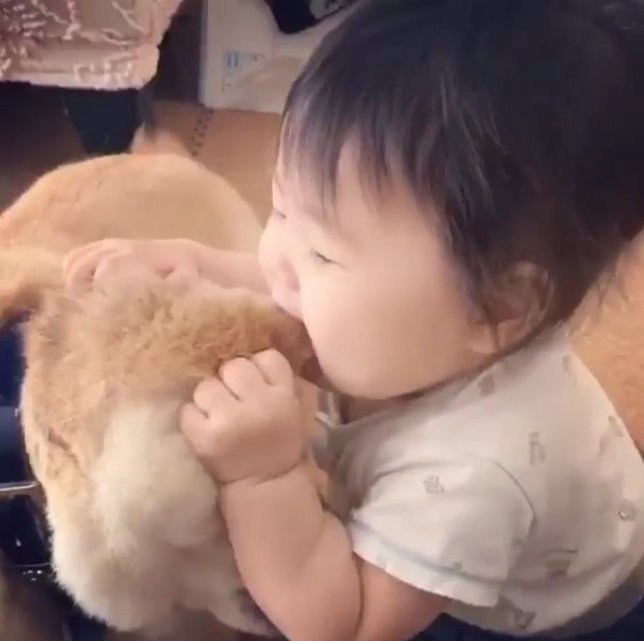 Bebé saborea a su perro