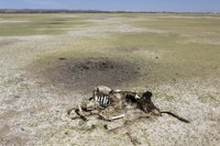 Bolivia, ante la peor sequía en 25 años