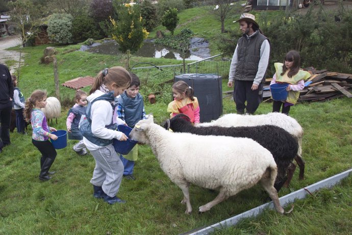 Niños en una granja escuela