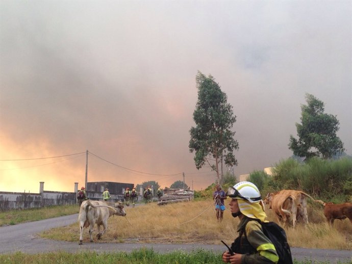 Incendio de Cotobade (Pontevedra)