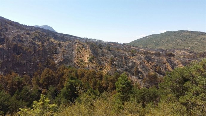 Superficie quemada en el incendio de Atarés y Santa Cruz de la Serós