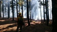 El incendio de La Palma se mantiene en Nivel 2