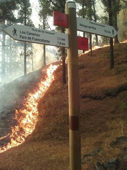 Incendio de La Palma