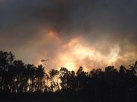 El viento dificulta la extinción del incendio forestal en Cotobade (Pontevedra)
