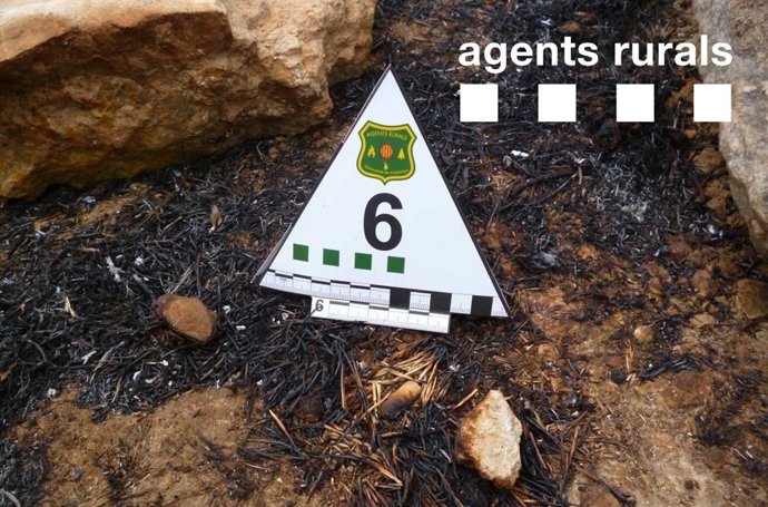 La colilla que posiblemente originó el incendio de La Pobla de Montornès