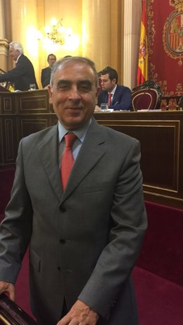 Senador del PSOE José Martínez Olmos