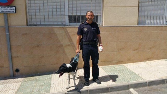 Uno de los perros rescatados de una terraza en Viator