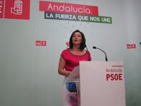 El PSOE-A justifica el retraso en la formación por la "transparencia" y adecuar a empresas