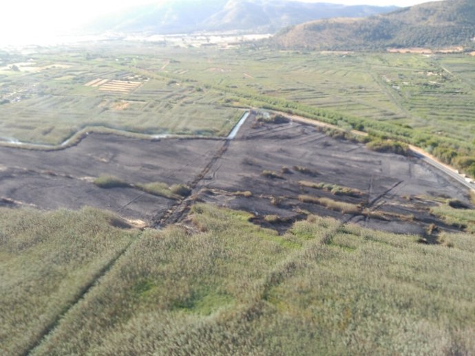 Incendio albufera