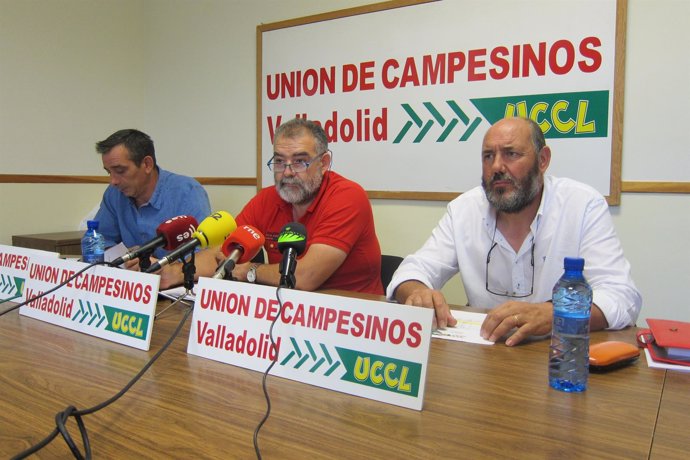 UCCL analiza la campaña de cereales en Valladolid