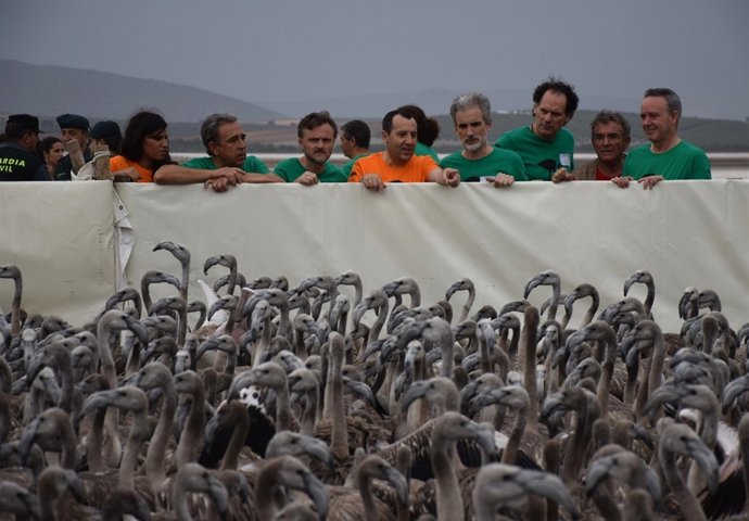 Consejero José Fiscal y Ruiz Espejo en anillamiento flamencos Fuente de Piedra