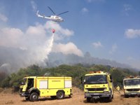 Unas 4,5 hectáreas de monte bajo y eucalipto afectadas por el incendio de Los Barrios