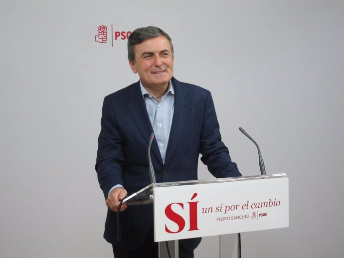 El diputado nacional del PSOE, Pedro Saura