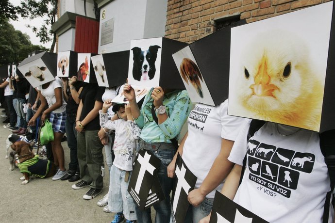 Protestas animalistas en Colombia