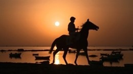 Carreras de caballos de Sanlúcar de Barrameda