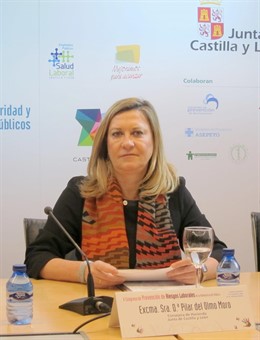 La consejera de Hacienda, Pilar del Olmo