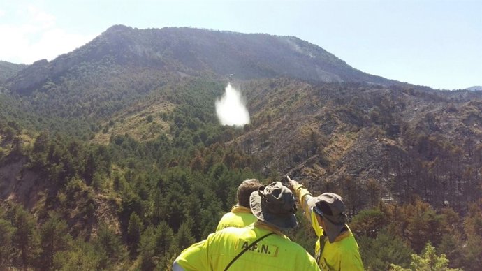 El incendio ya se ha dado por controlado y ahora solo queda extinguirlo.