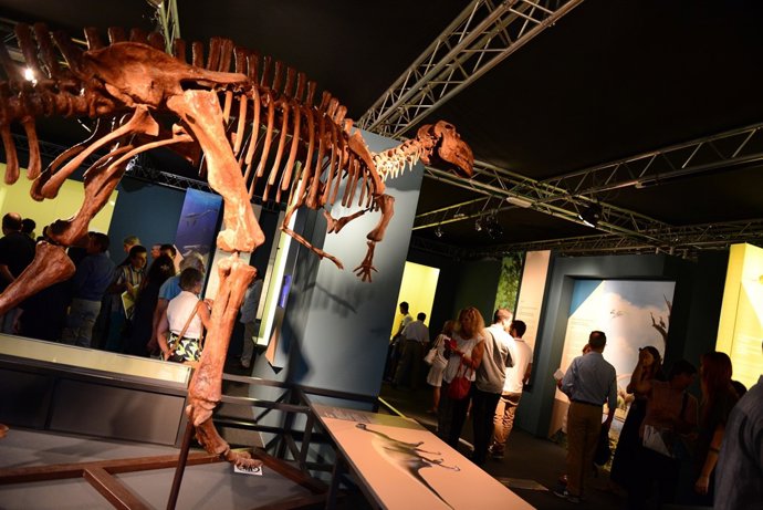 La muestra se ubica en la tercera planta del Museo Príncipe Felipe