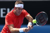Del Potro vence a Nadal y pasa a la final contra el británico Murray