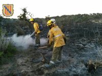 Detenido el autor del incendio en S'Espalmador