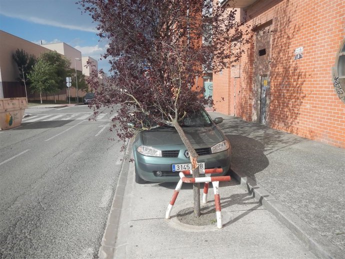 Uno de los vehículos dañados por la caída de un árbol 