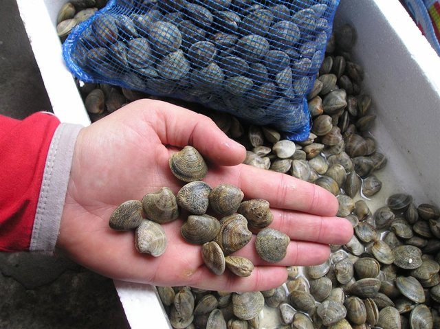 Chirla decomisada en Málaga  