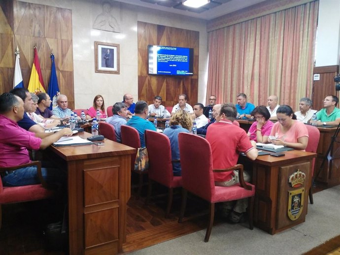 Reunión sobre el incendio en el Cabildo de La Palma