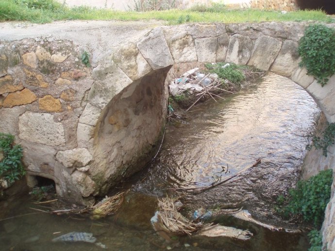 Puente de la Torre de Tudela