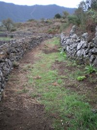 El Cabildo de La Palma abre los senderos no afectados por el incendio