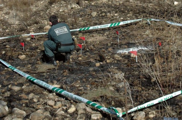 Un agente de la Guardia Civil investiga el incendio forestal