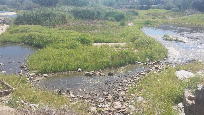 La ribera del Tormes. 