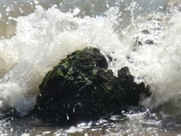 Olas y corrientes en las playas de la costa catalana