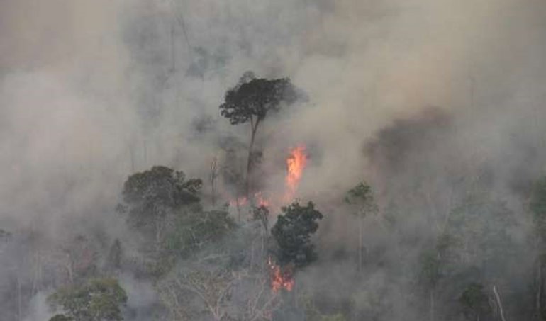 Cooperación y Desarrollo