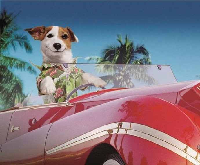 Pancho El Perro De La Primitiva