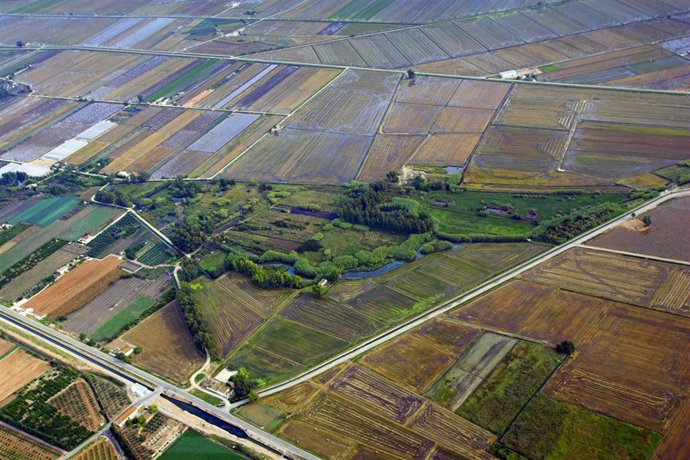 Cultivos en Terres de l'Ebre