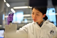 Hallan un ARN no codificante que podría frenar los tumores de pulmón y mama