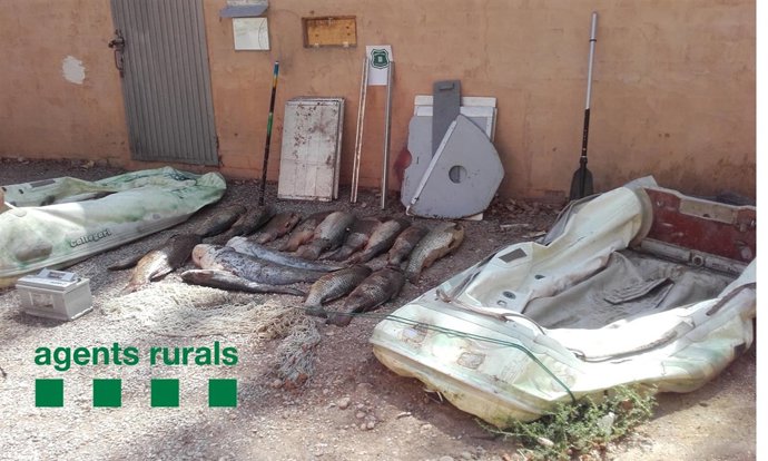 Material interceptado por los agentes rurales