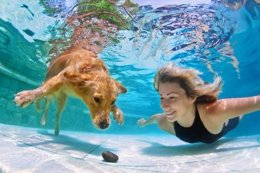 Perro bajo el agua