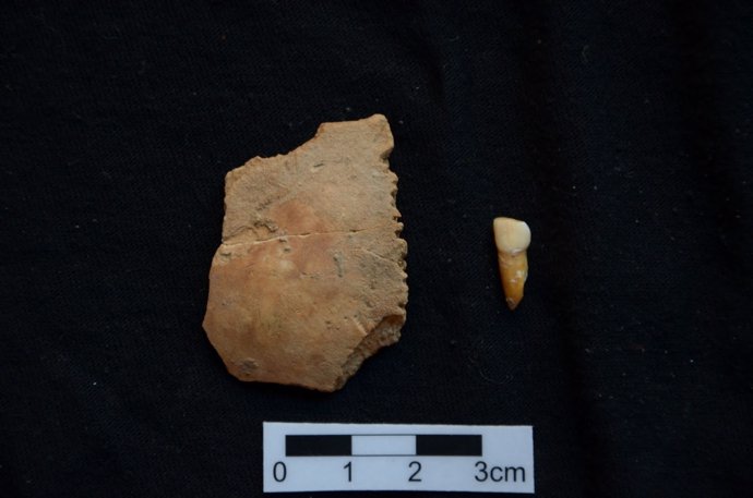 Parietal y diente de neandertal descubiertos en Moià (Barcelona)