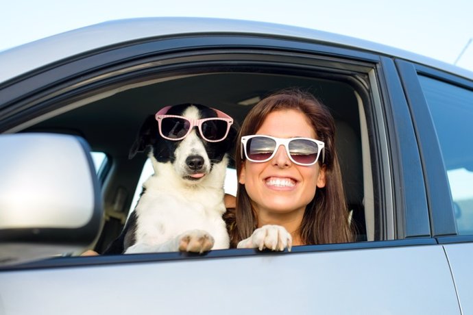 Mascota, perro, coche, sonrisas, dientes, gafas