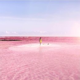 Lago rosa Yucatán Mexico