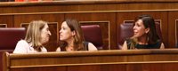 Camacho (PP): Rajoy es un "caballo ganador" y volvería a ser candidato si hay elecciones