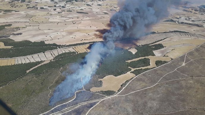 Fotografía del incendio en el campo de San Gregorio