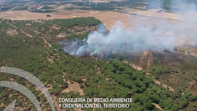Incendio en un paraje entre Gibraleón y Cartaya