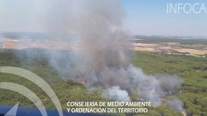 Incendio declarado en Almonte